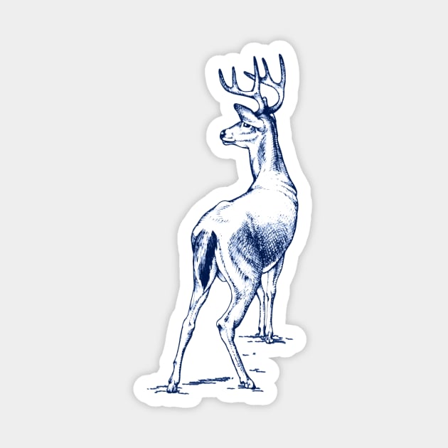 Curious Deer (blue) Sticker by BessoChicca